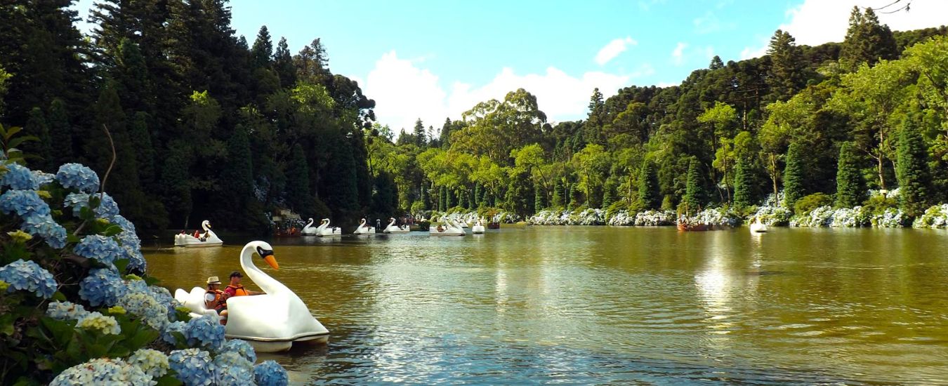 lago negro, gramado.