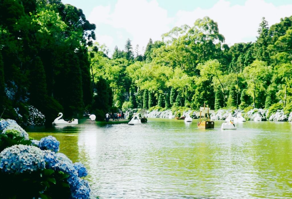 Lago Negro, pedalinho no lago.