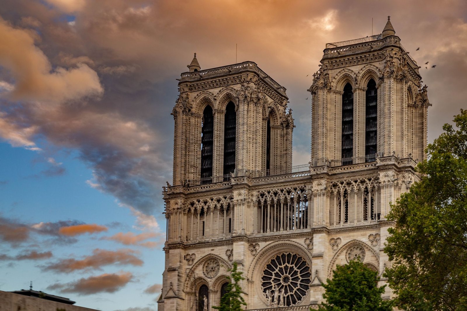 Cathédrale Notre-Dame de Paris : Guide Complet