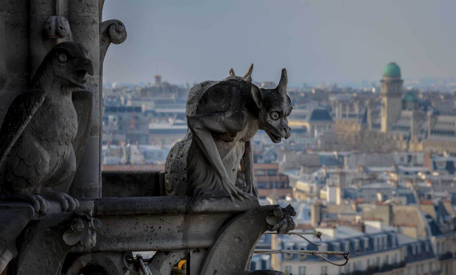 Gargouilles sculptées sur la façade de la Cathédrale Notre-Dame