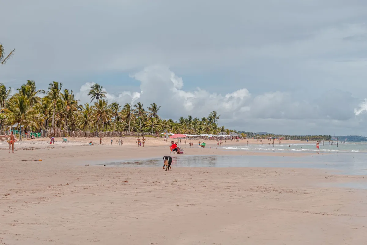Travel scenery related to Trancoso Bahia