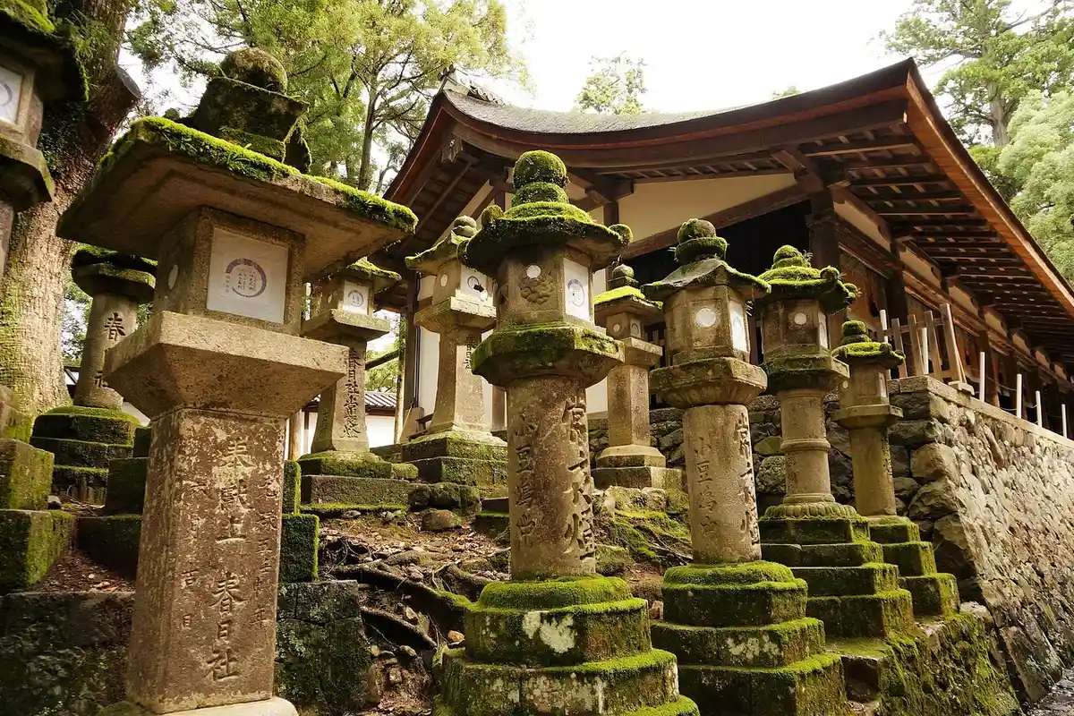 Lanternas no santuário Kasuga Taisha