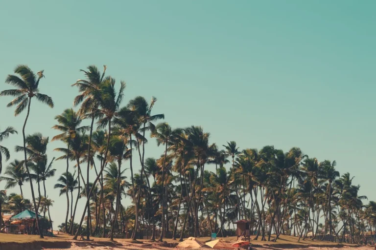 Qué hacer en Aracaju: playas tranquilas y la Croa do Goré