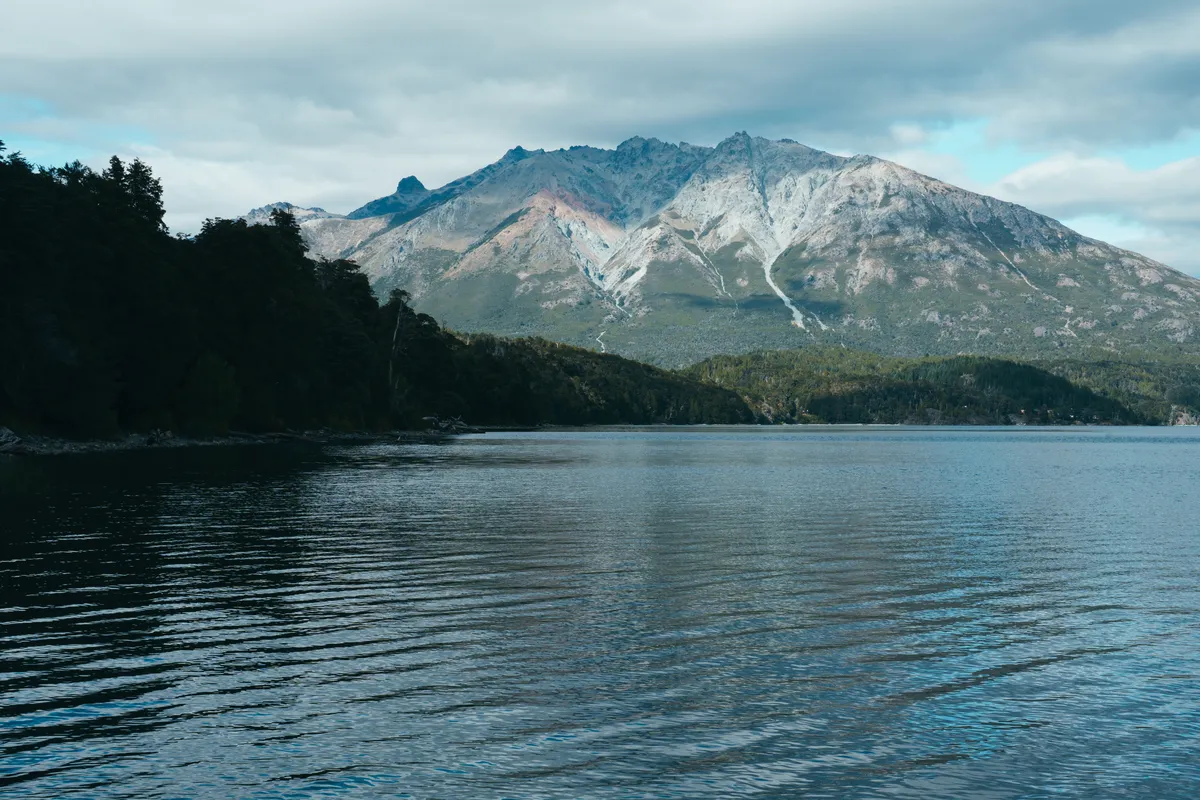 Forests and mountains in the Bariloche region
