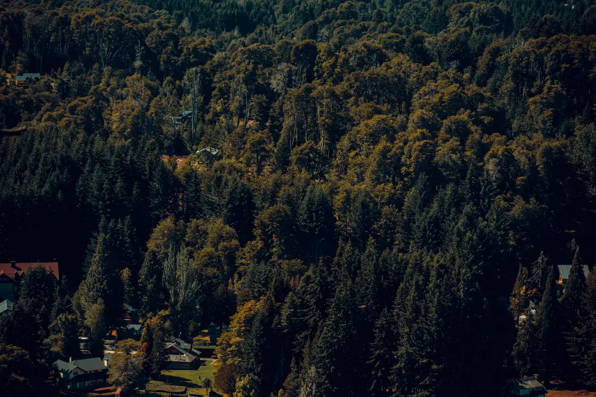 Road along the mountains in Bariloche