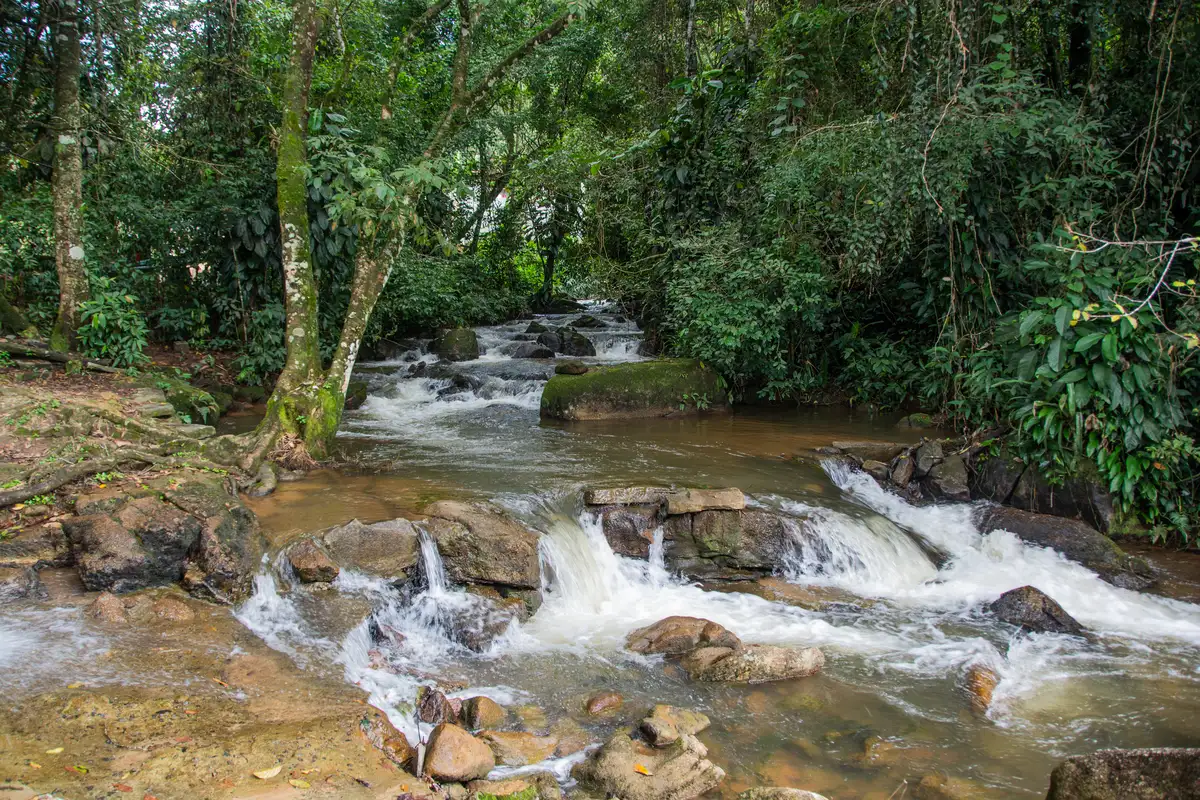 Waterfall surrounded by forest in Bonito