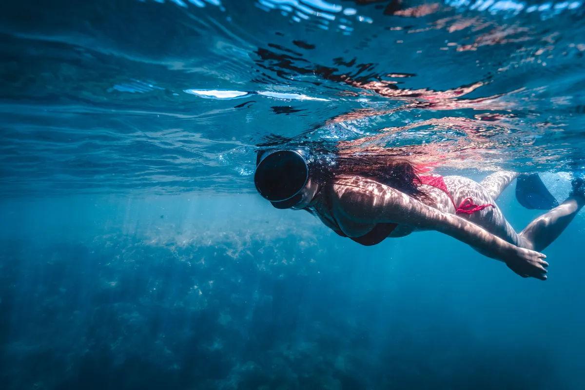 Fish in a crystal-clear river in Bonito