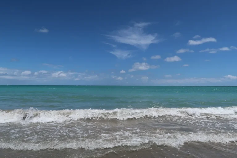 Praia dos Carneiros: maré baixa sem errar no day use
