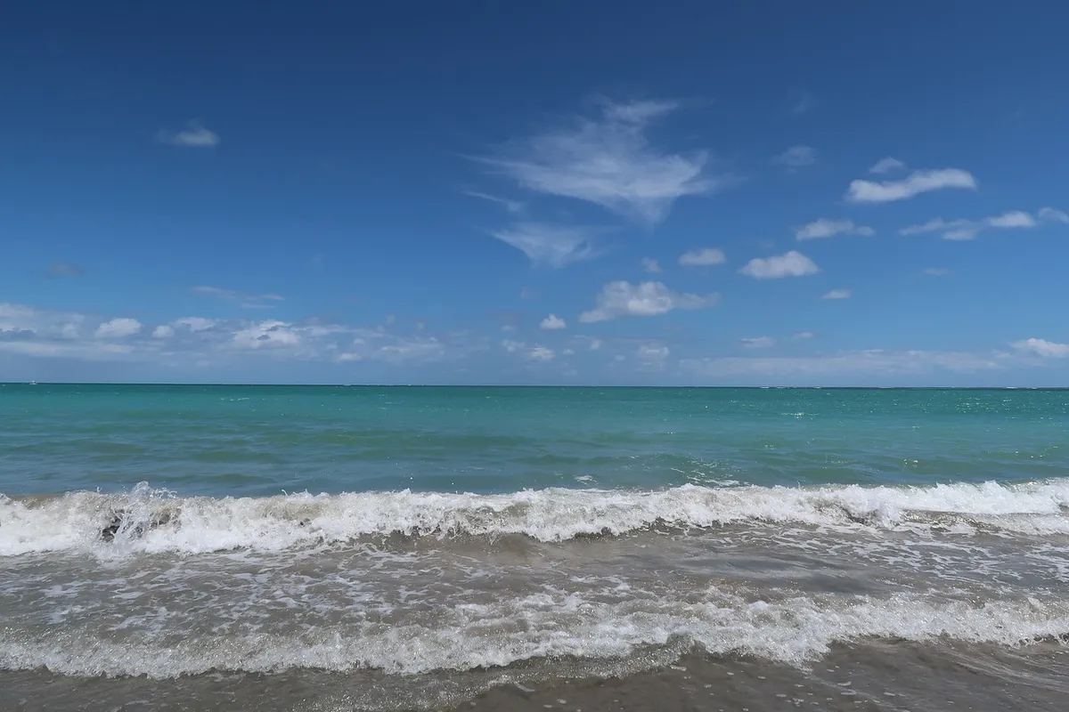 Praia dos Carneiros — imagem 1