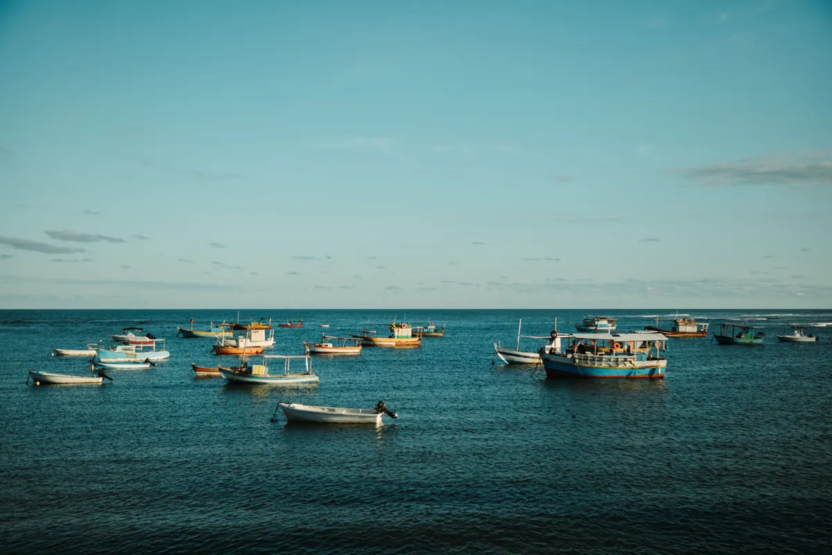 Praia dos Carneiros — imagem 3