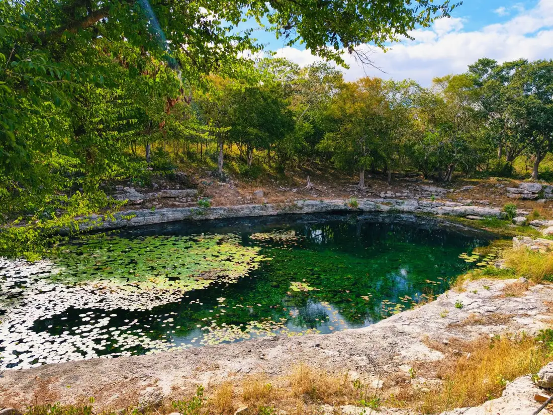 Cenote sagrado cercado de vegetação na região de Chichén Itzá, Yucatán