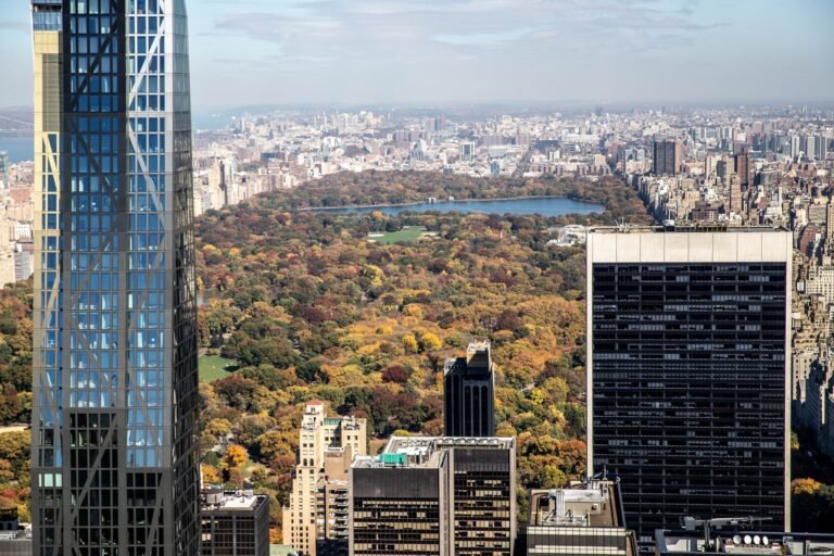Central Park en Nueva York: Guía Completa para Visitar
