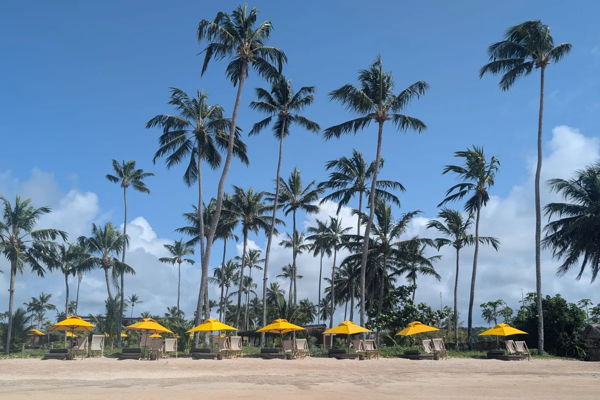 Paisagem de praia com coqueiros e falésias características da Praia do Gunga, em Alagoas