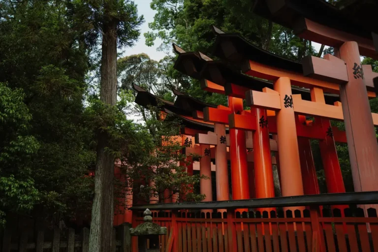 Kyoto Temples Without the Crowds: The Right Time for Each One