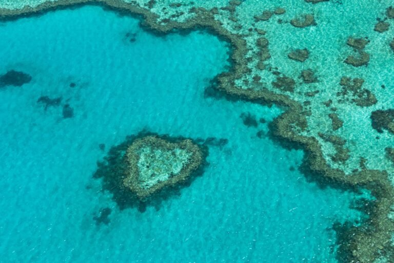 Grande Barreira de Corais: guia completo para visitar em Queensland