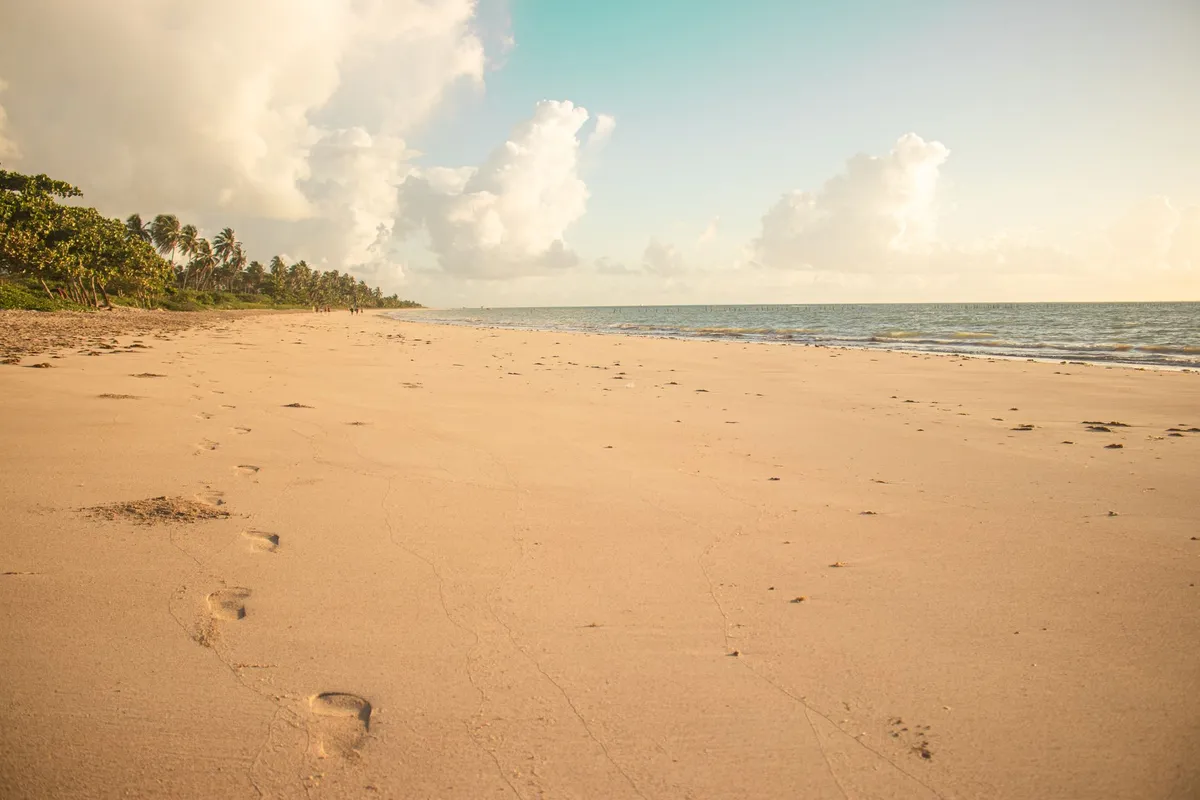 Trecho de praia com paisagem costeira e falésias em Alagoas