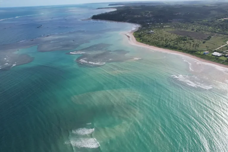 Praia do Gunga: Cliffs and a Tour Without Getting the Tide Wrong