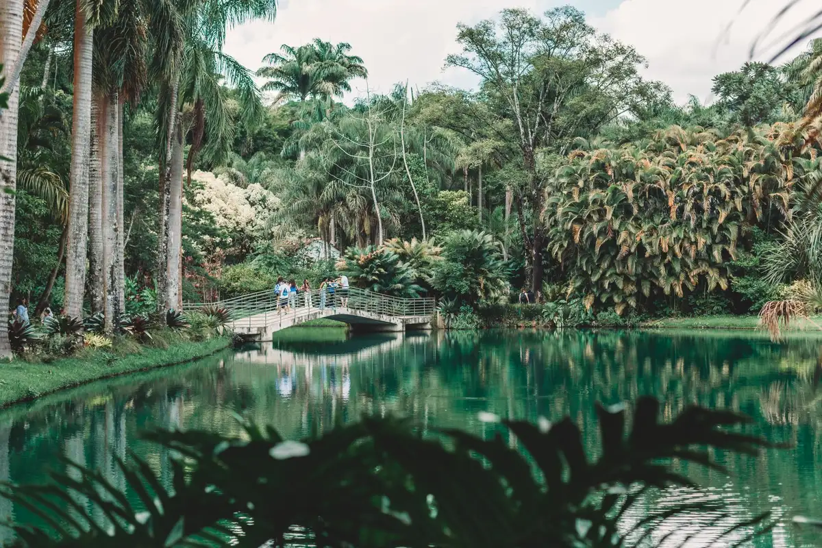 Jardim com ponte no Inhotim em Brumadinho