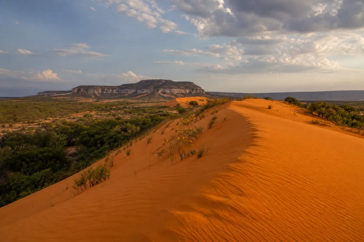 Jalapão in 5 Days: A Smooth Expedition Without the Avoidable Hassles