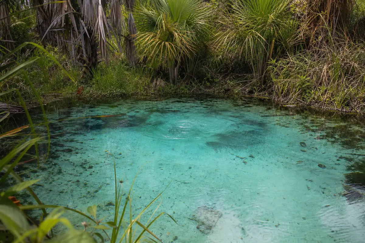 Crystal-clear fervedouro spring in Jalapão