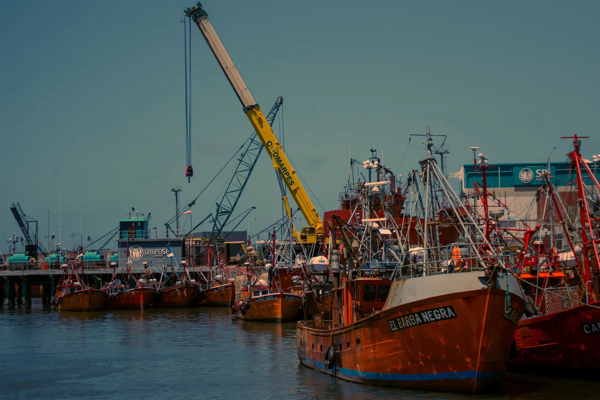 Fishing boats at Mar del Plata harbor