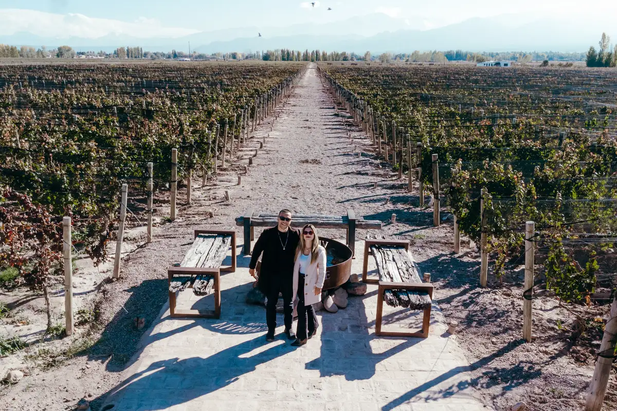 Mendoza — landscape 4