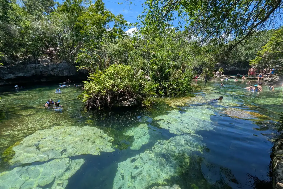Cenote cercado por vegetação na região de Playa del Carmen