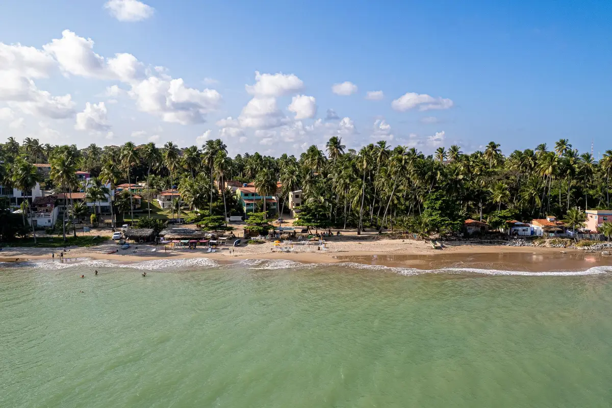 Praia de Japaratinga em Alagoas com mar calmo coqueiros e areia clara