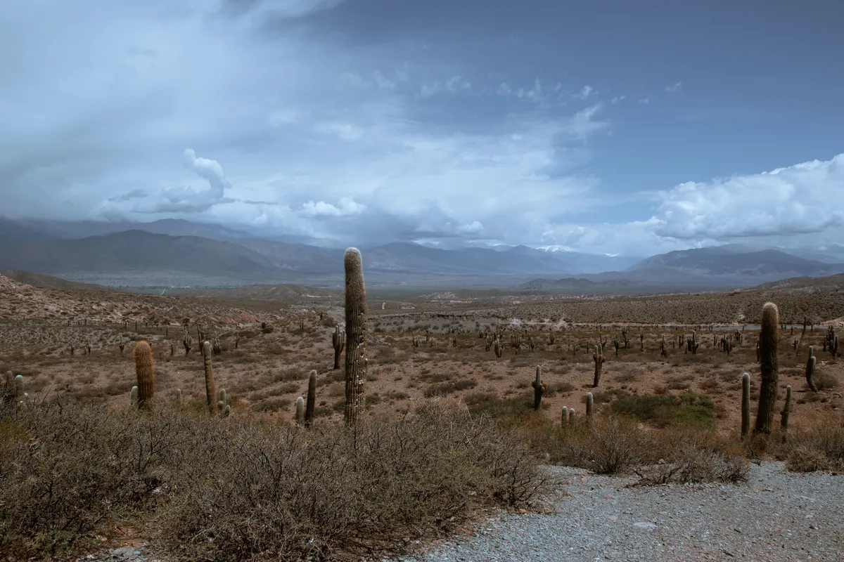 Salta — image 3