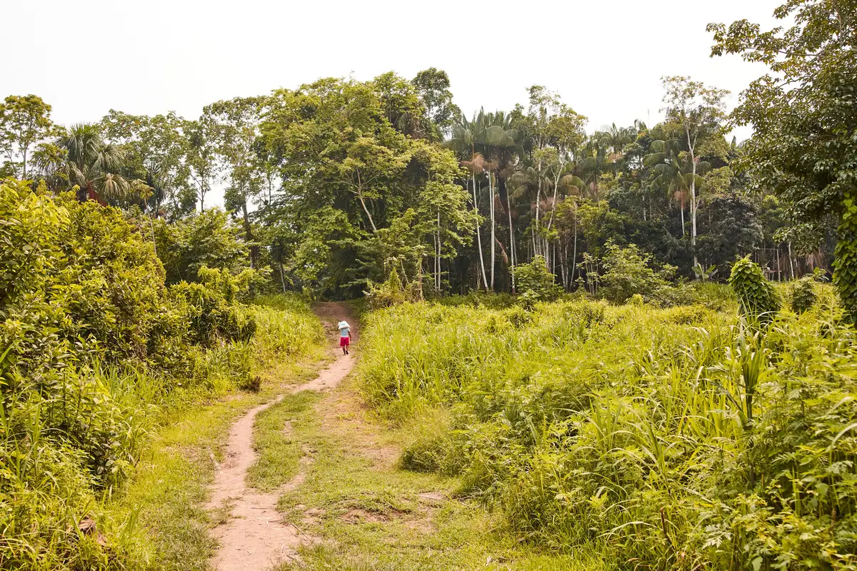 Parque Tayrona — imagem 4