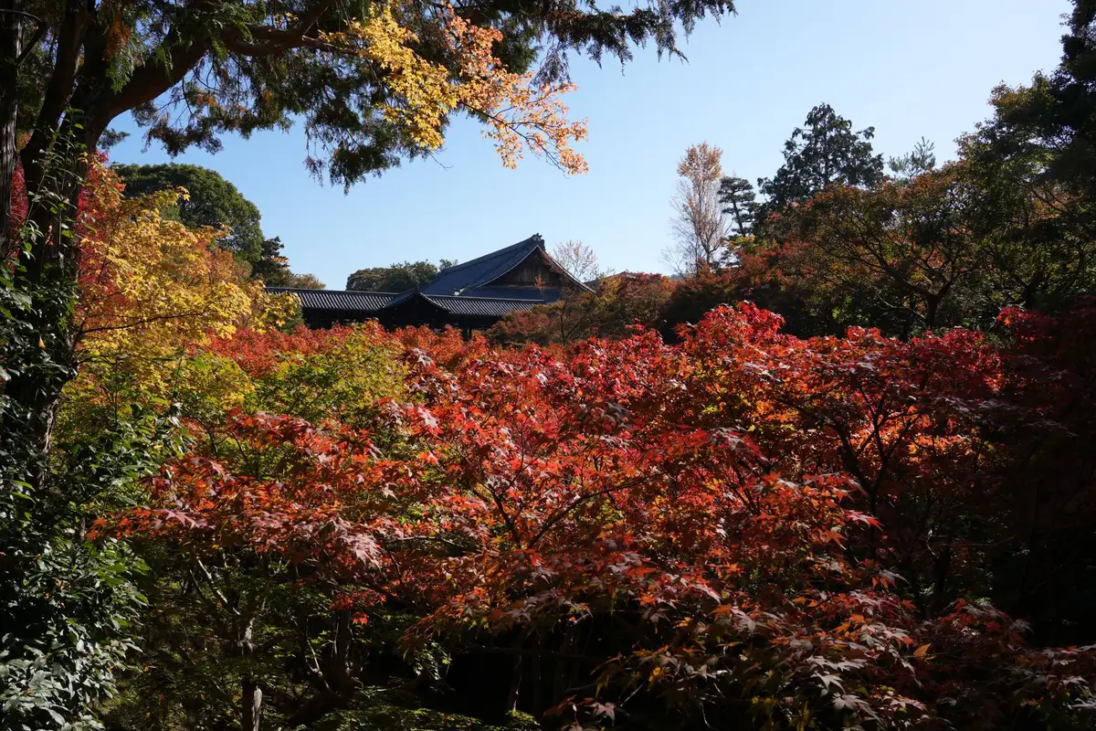 Jardim e arquitetura do templo zen Tofuku-ji em Kyoto