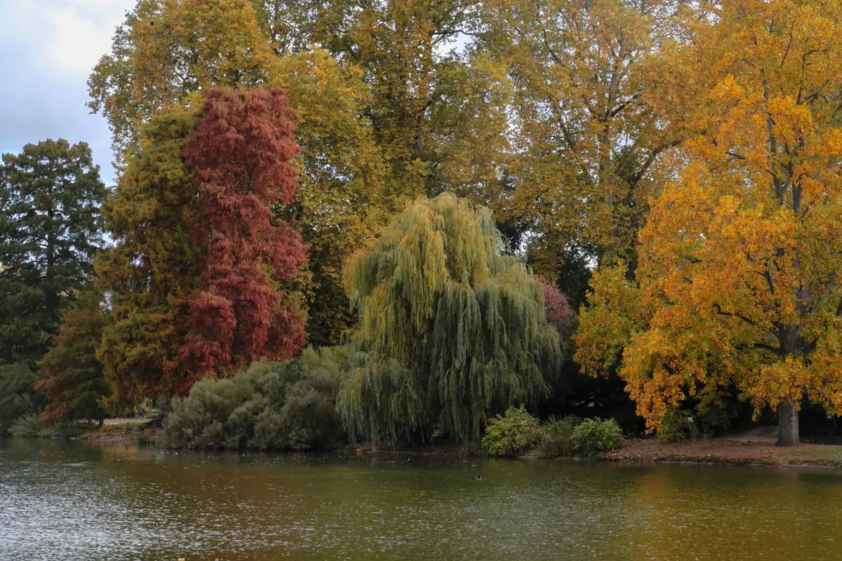 Lago no Bois de Vincennes fim da Coulée Verte