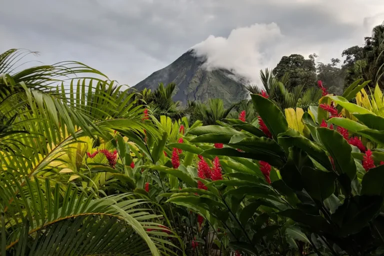 Vulcão Arenal e La Fortuna: guia completo