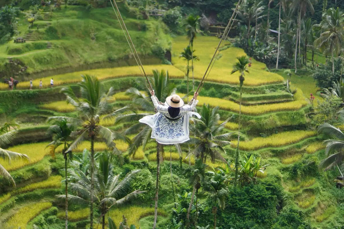 Balanço sobre os terraços de arroz em Tegallalang, Bali