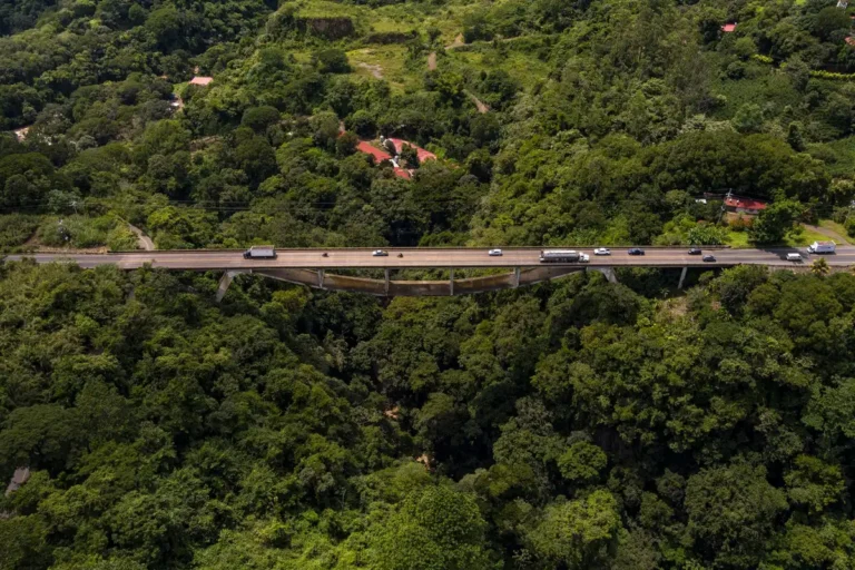 Pontes suspensas de Monteverde: como é caminhar na floresta nublada