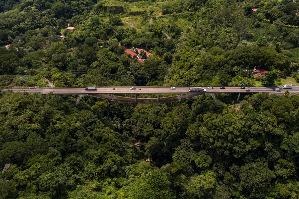 Ponte suspensa na floresta da Costa Rica