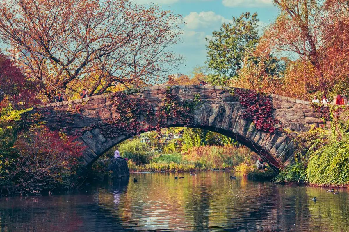 Central Park com árvores e prédios de Manhattan ao fundo em Nova York