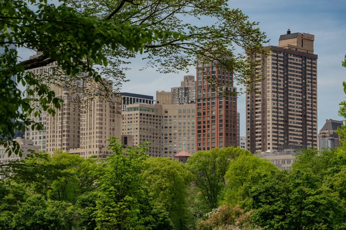 Central Park com árvores e prédios de Manhattan ao fundo