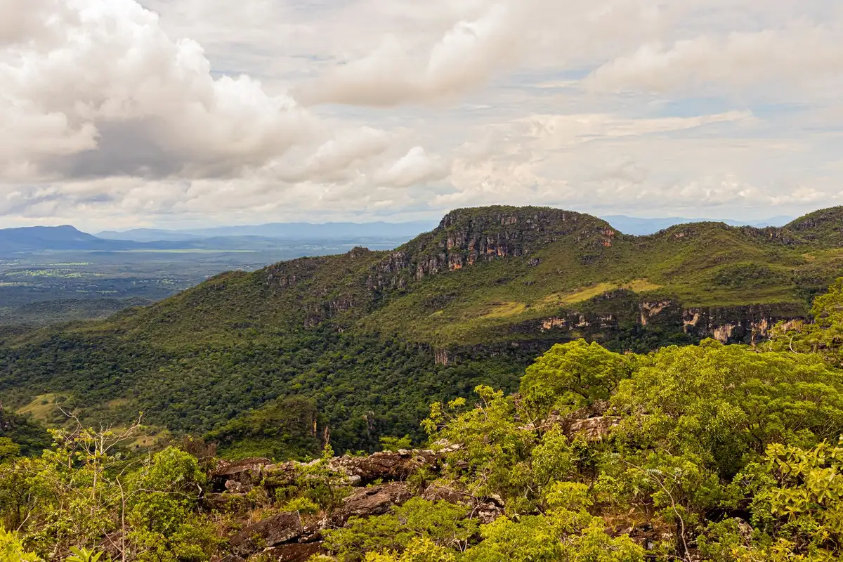 Vegetação de cerrado e montanhas verdes na Chapada dos Veadeiros