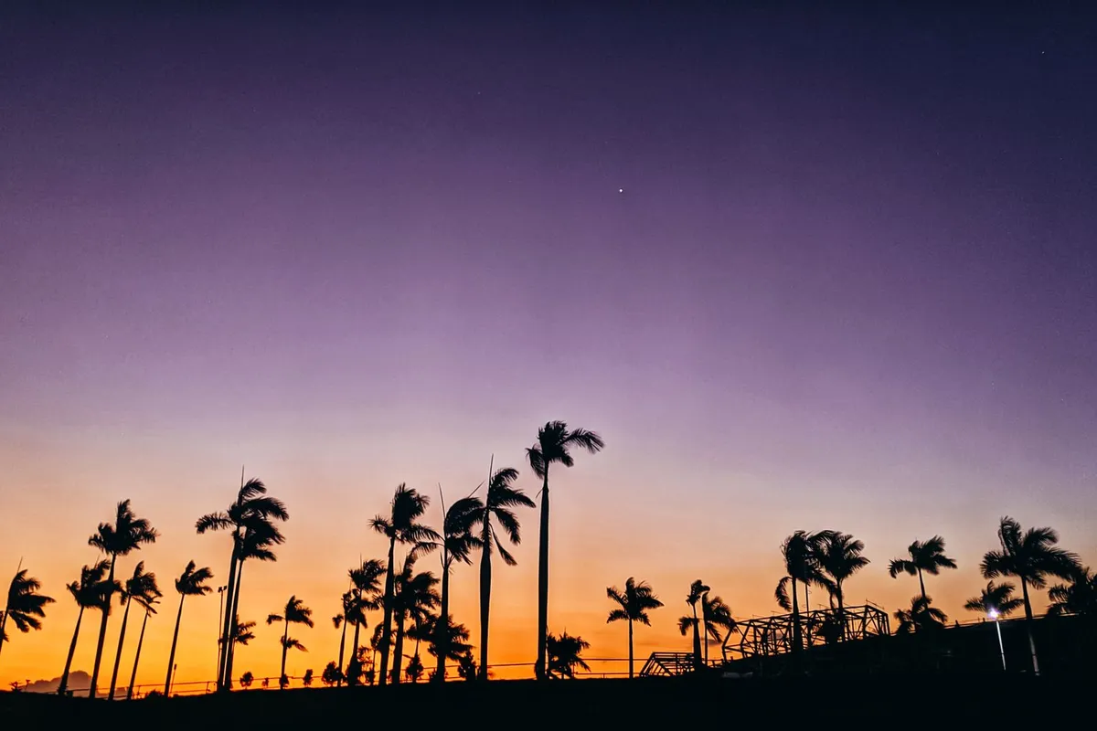 Palmeiras ao pôr do sol no deserto da Califórnia