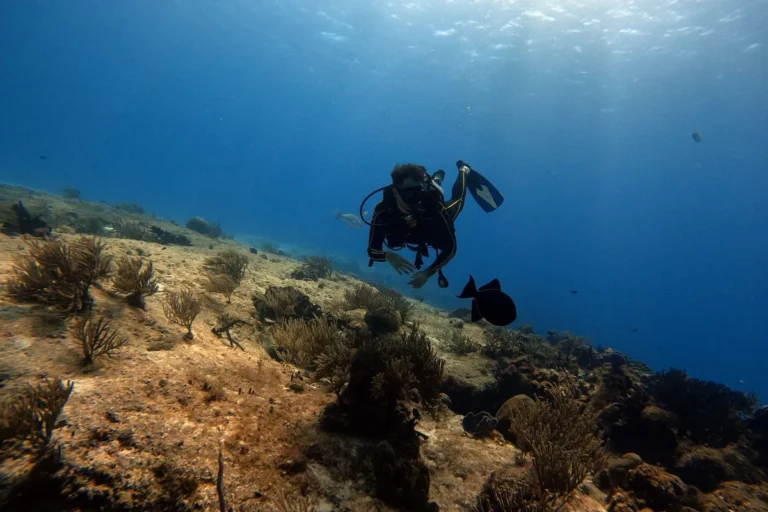 Cozumel: mergulho e snorkel no Caribe mexicano