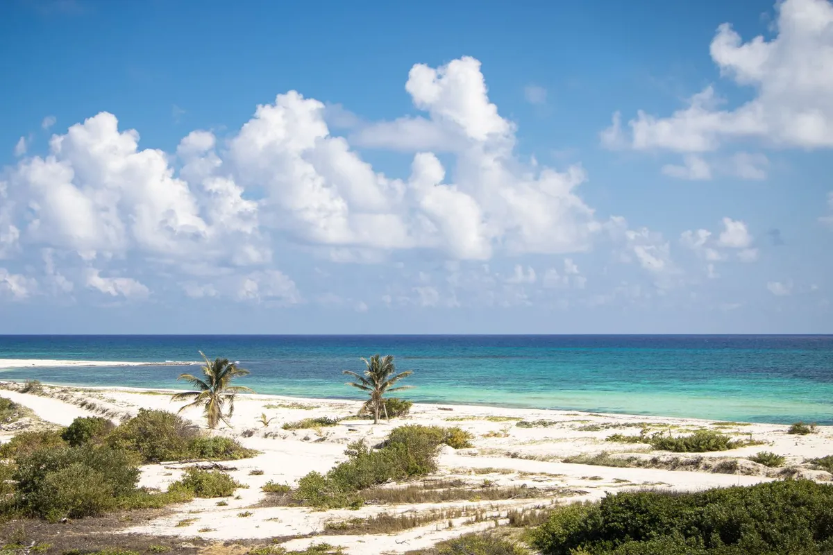 praia de areia branca e mar azul-turquesa em Cozumel