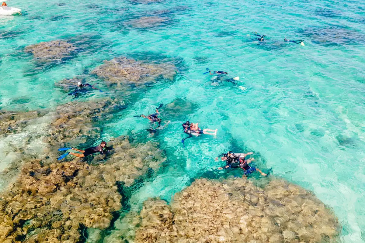 vista aérea de pessoas fazendo snorkel em águas claras do Caribe