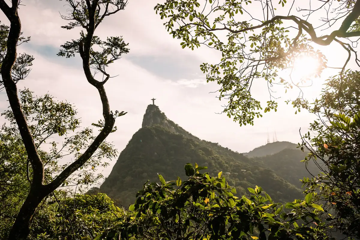 Vista do Cristo Redentor entre as árvores da Floresta da Tijuca no caminho do trem