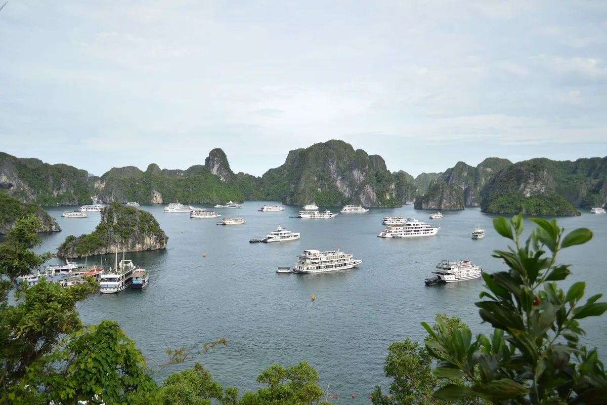 Cruzeiro navegando entre ilhas de calcário na Baía de Ha Long