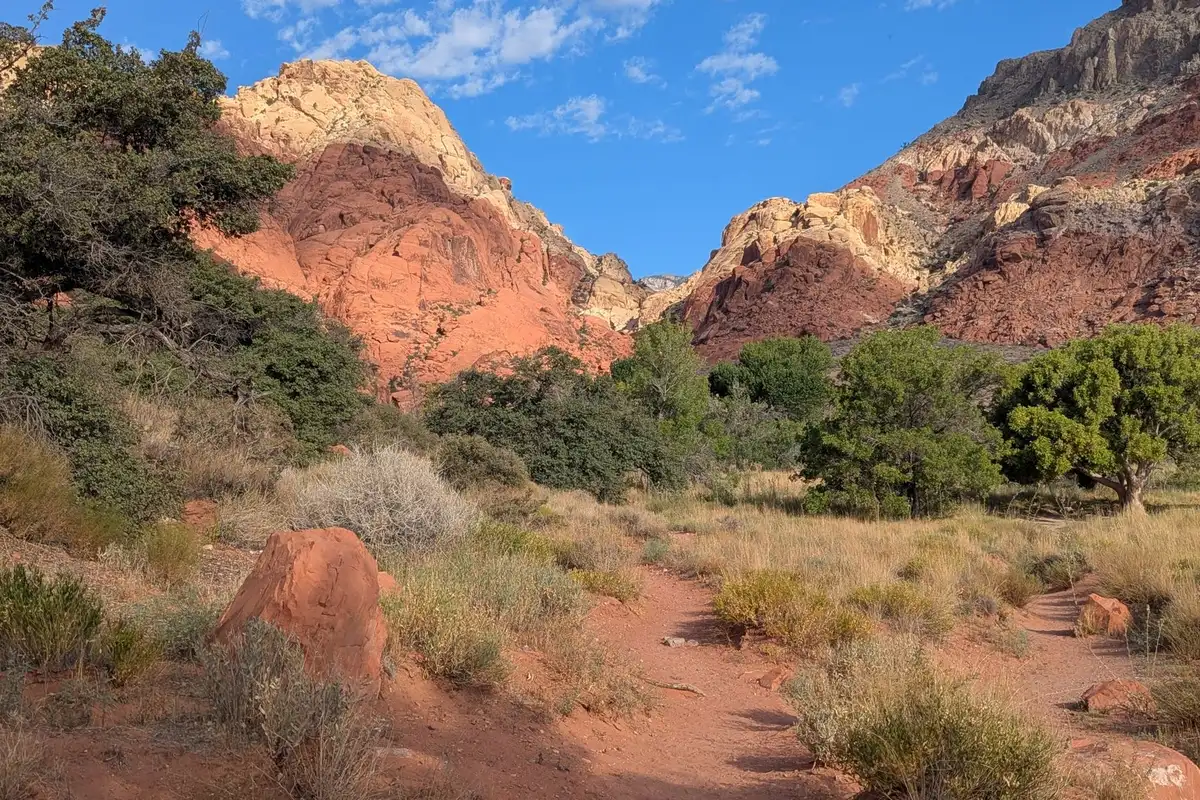 Formações rochosas do Red Rock Canyon, Nevada