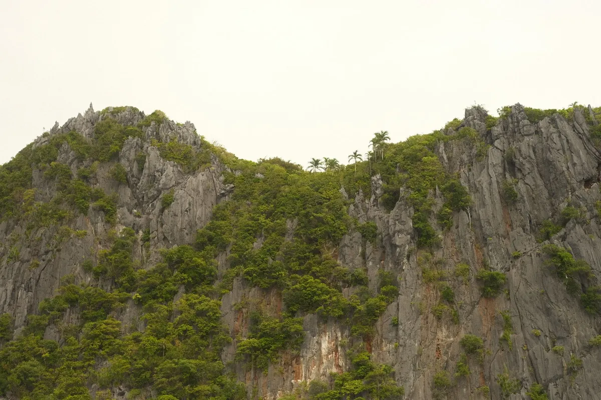 Falésias de calcário em El Nido Palawan Filipinas com barco