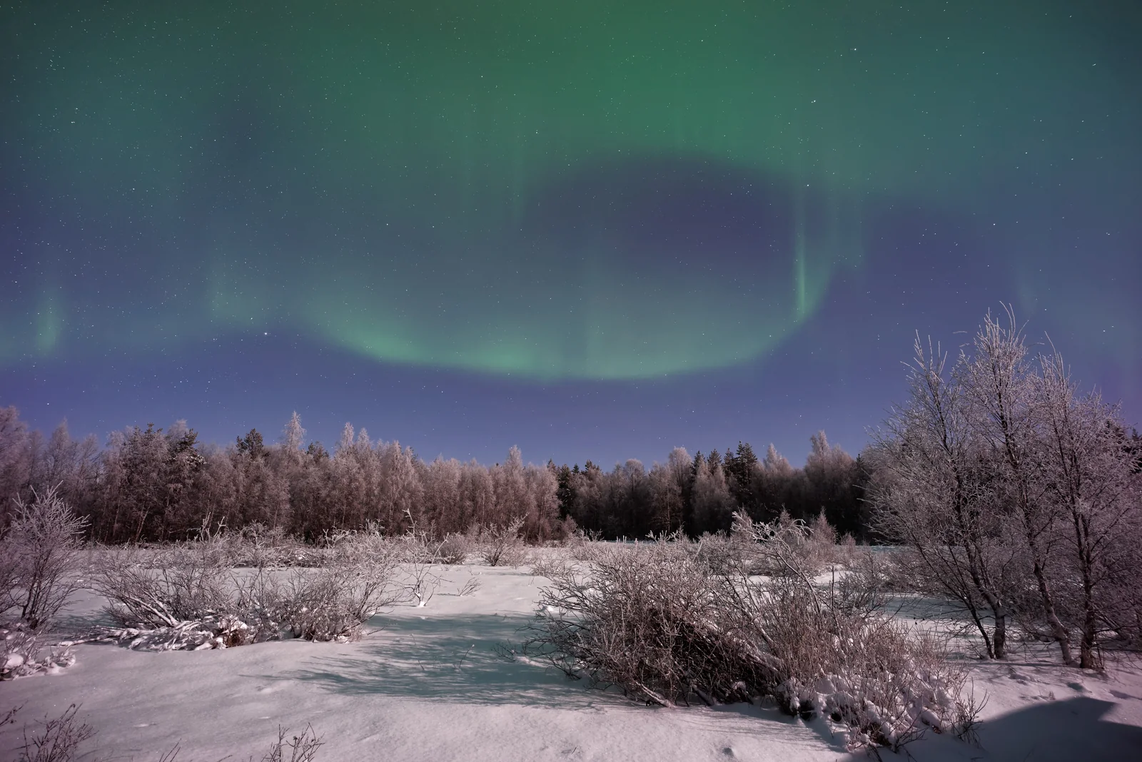 Aurora boreal sobre a Lapônia finlandesa no inverno