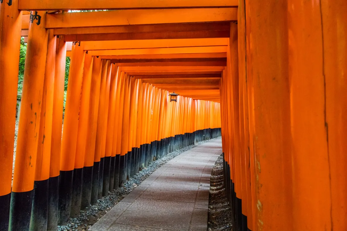 Trilha entre os torii do Fushimi Inari subindo a montanha Inari em Kyoto
