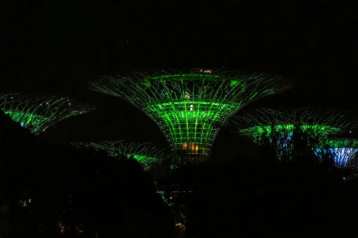 Supertrees iluminadas à noite no Gardens by the Bay em Singapura